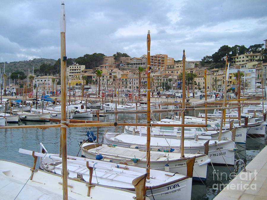 Puerto de Soller  Photograph by Suzanne Oesterling