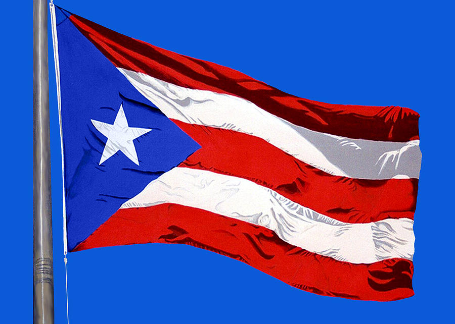puerto rican flag with coqui drawing