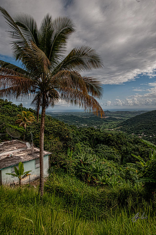 Puerto Rico Photograph - Puerto Rican Paradise by Jason Lanier