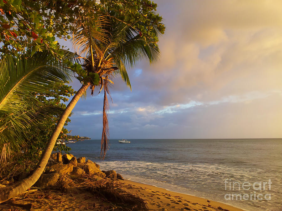 Puerto Rico Palm Lined Beach With Boat At Sunset Photograph by Jo Ann Tomaselli