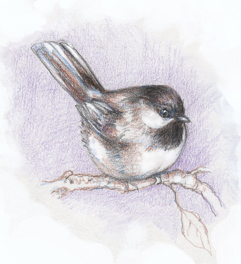 Puffed up Chickadee Mixed Media by Peggy Wilson