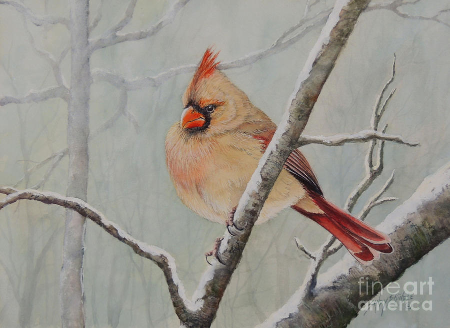 Puffed up for Winters Wind Painting by Sandy Brindle