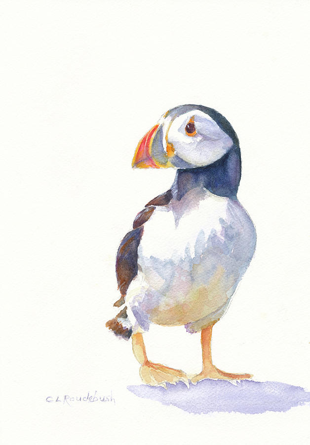Bird Painting - Puffin by Cynthia Roudebush