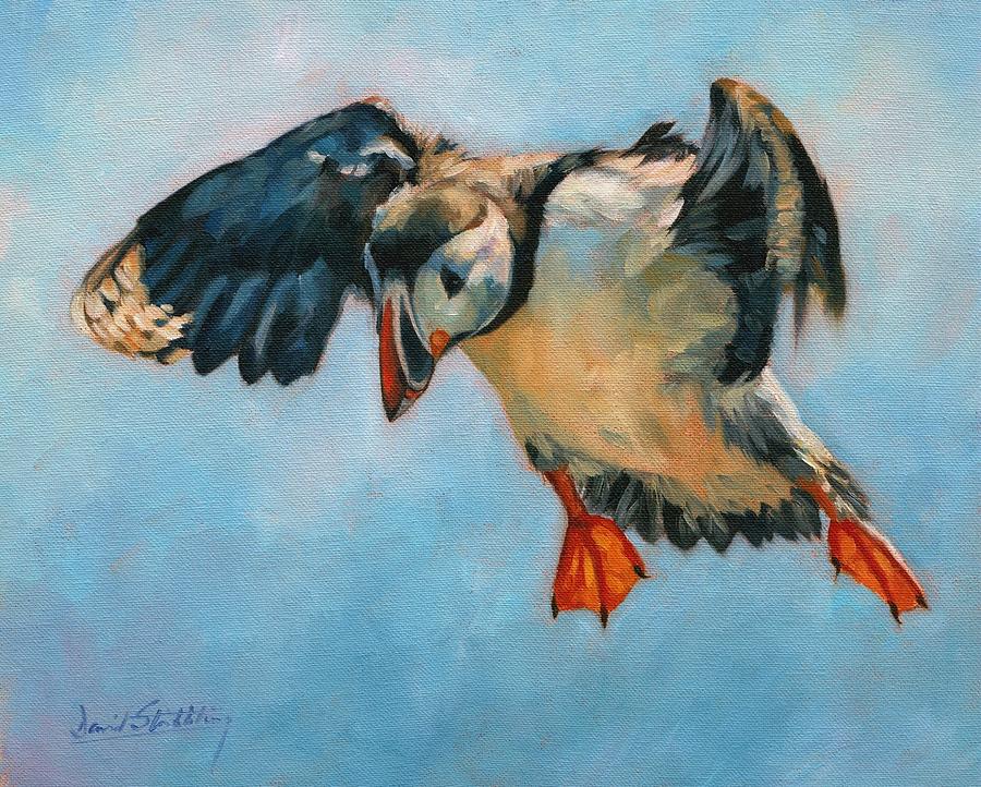 Puffin Painting by David Stribbling