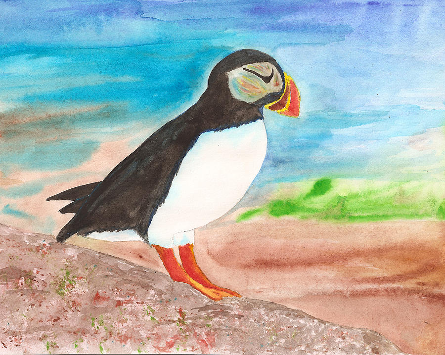 Puffin Painting by Ruth MacLean - Fine Art America