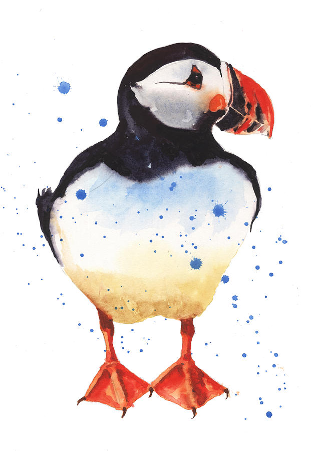 Puffin Painting - Puffin Watercolor by Alison Fennell