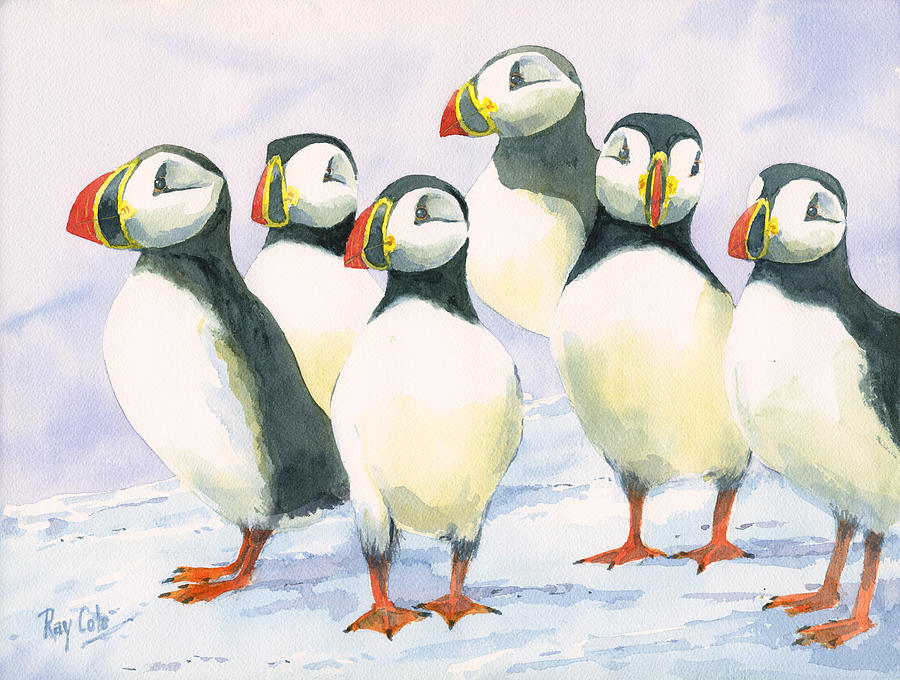 Bird Painting - Puffins by Lynda Lang