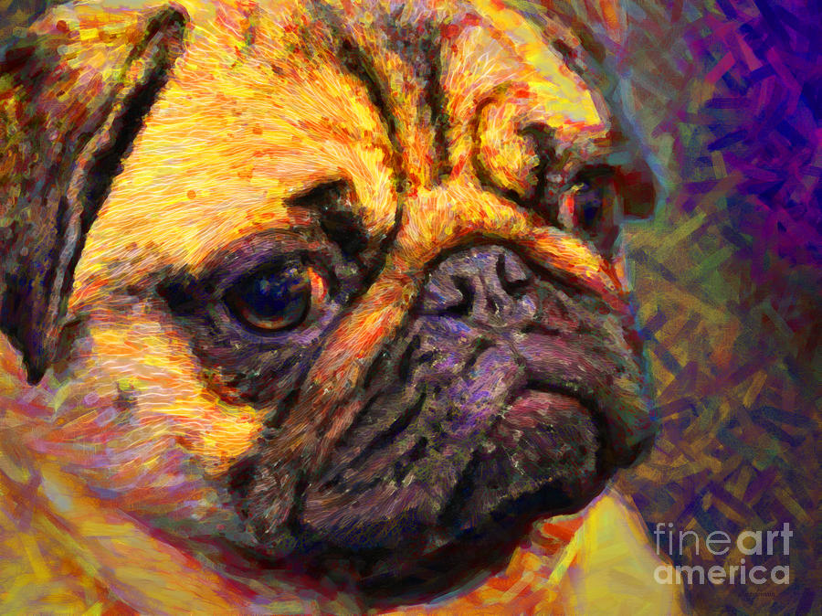 Pug 20130126v1 Photograph by Wingsdomain Art and Photography
