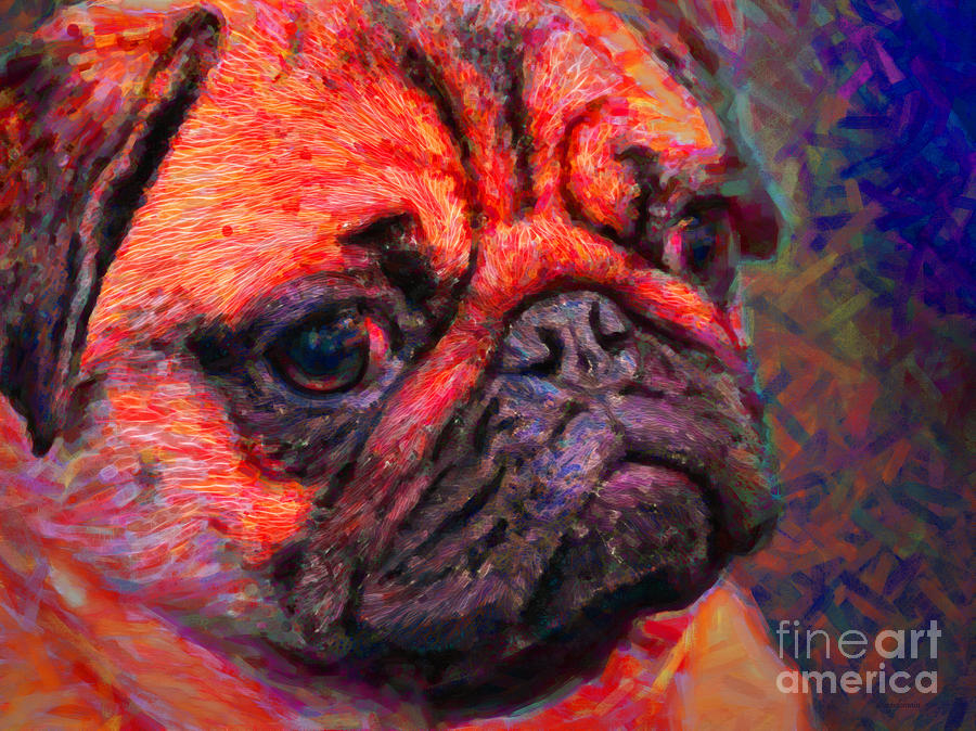 Pug 20130126v2 Photograph by Wingsdomain Art and Photography
