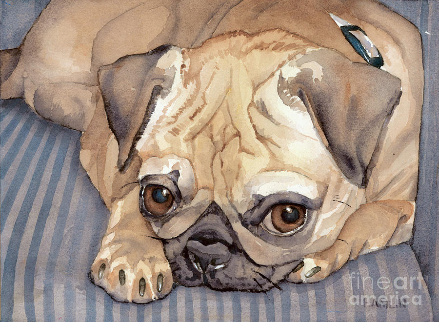 Pug - Rocky Painting by Steve Hamlin
