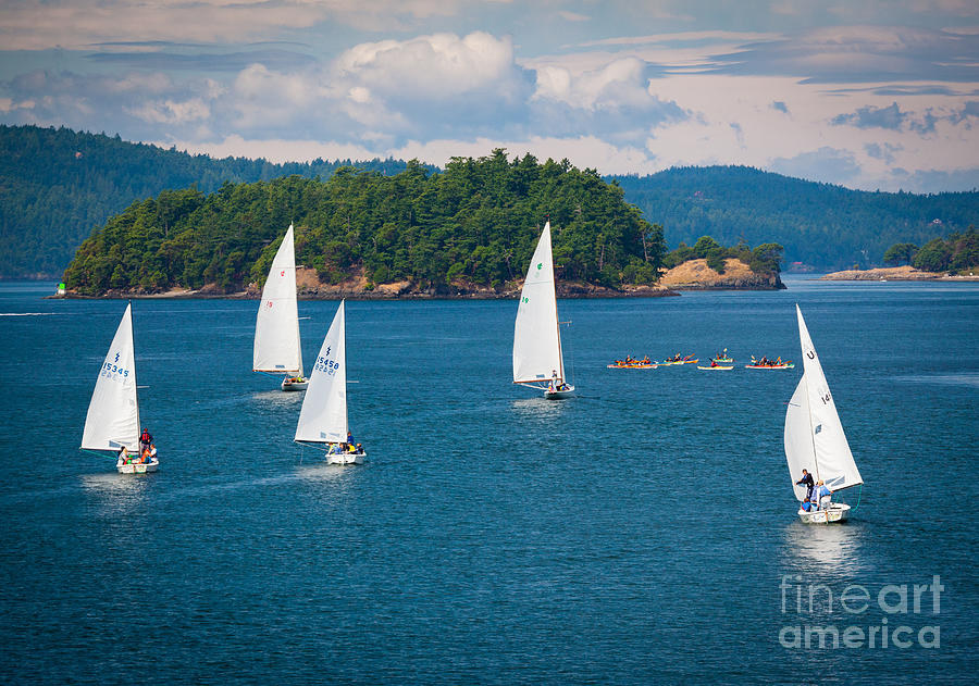 Puget Sound Sailboats Photograph by Inge Johnsson