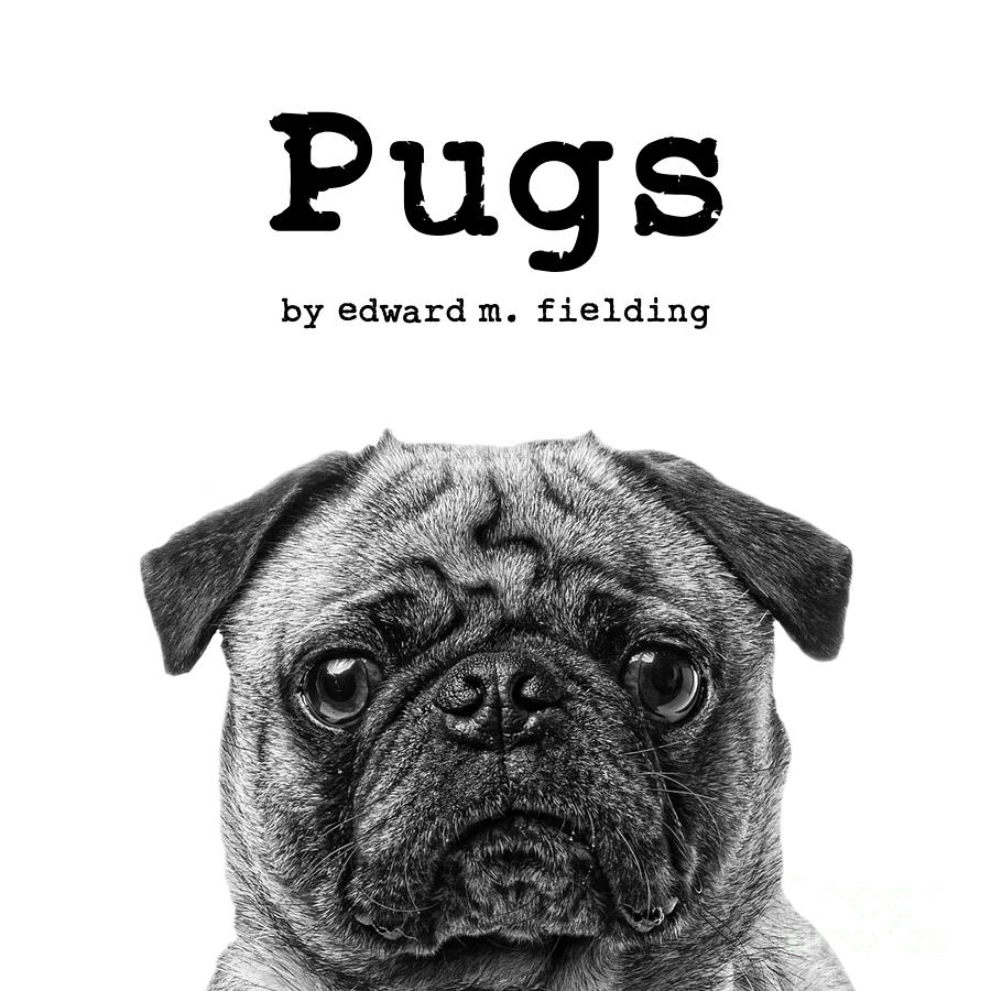 Pugs By Edward Fielding Photograph