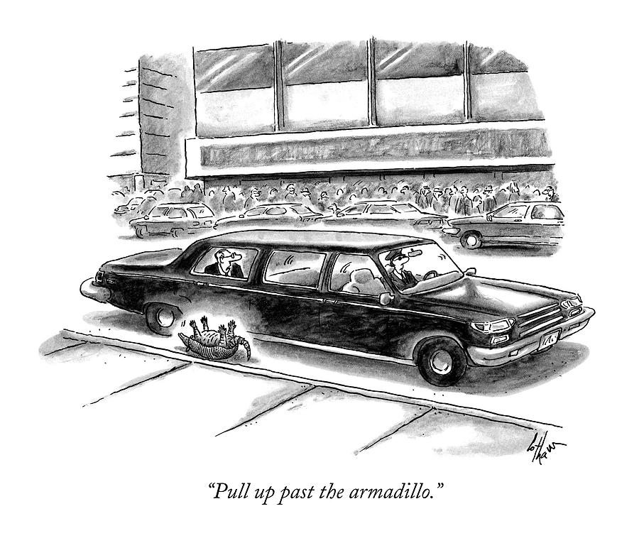 Pull Up Past The Armadillo Drawing by Frank Cotham