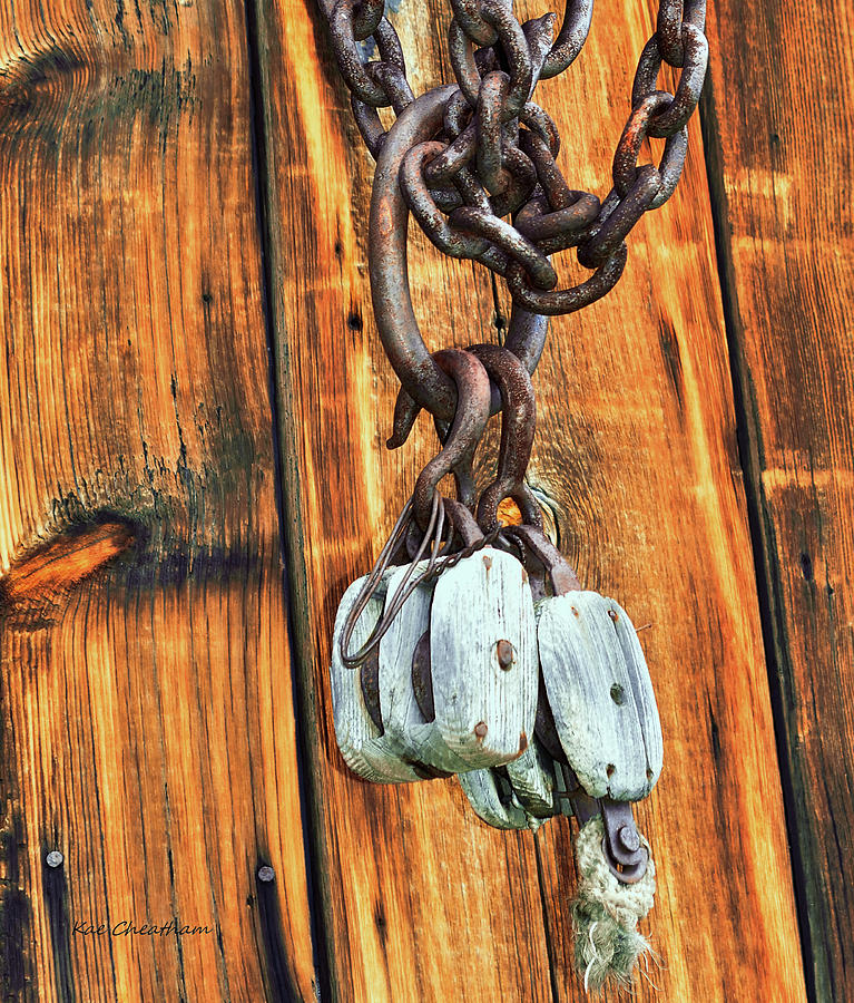 Pulley Hooks and Chain Photograph by Kae Cheatham