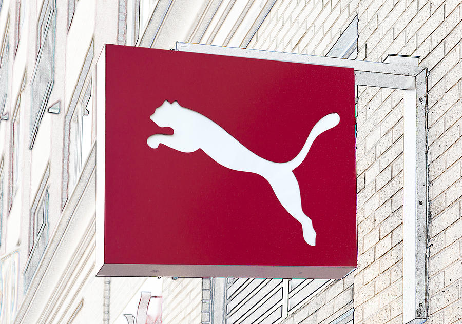sign of puma