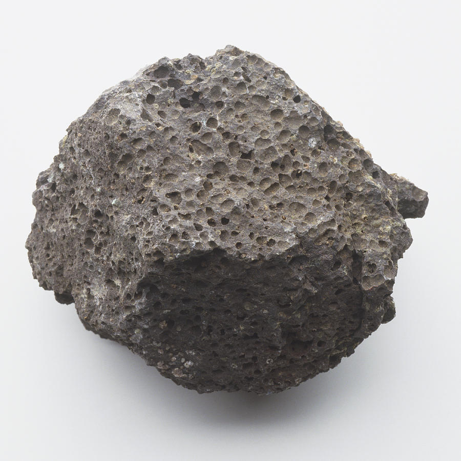 Pumice Rock Photograph by Dorling Kindersley/uig