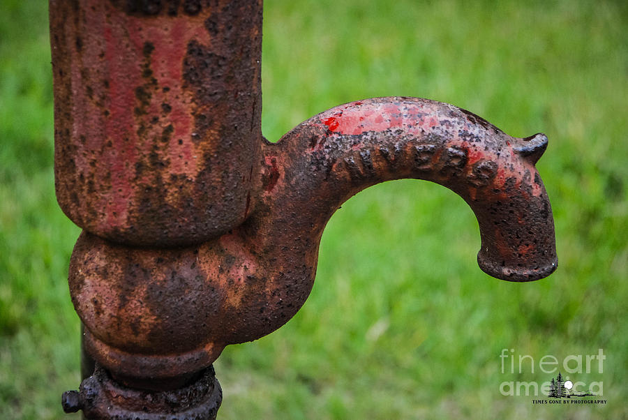 Pump Faucet Photograph by Grace Grogan