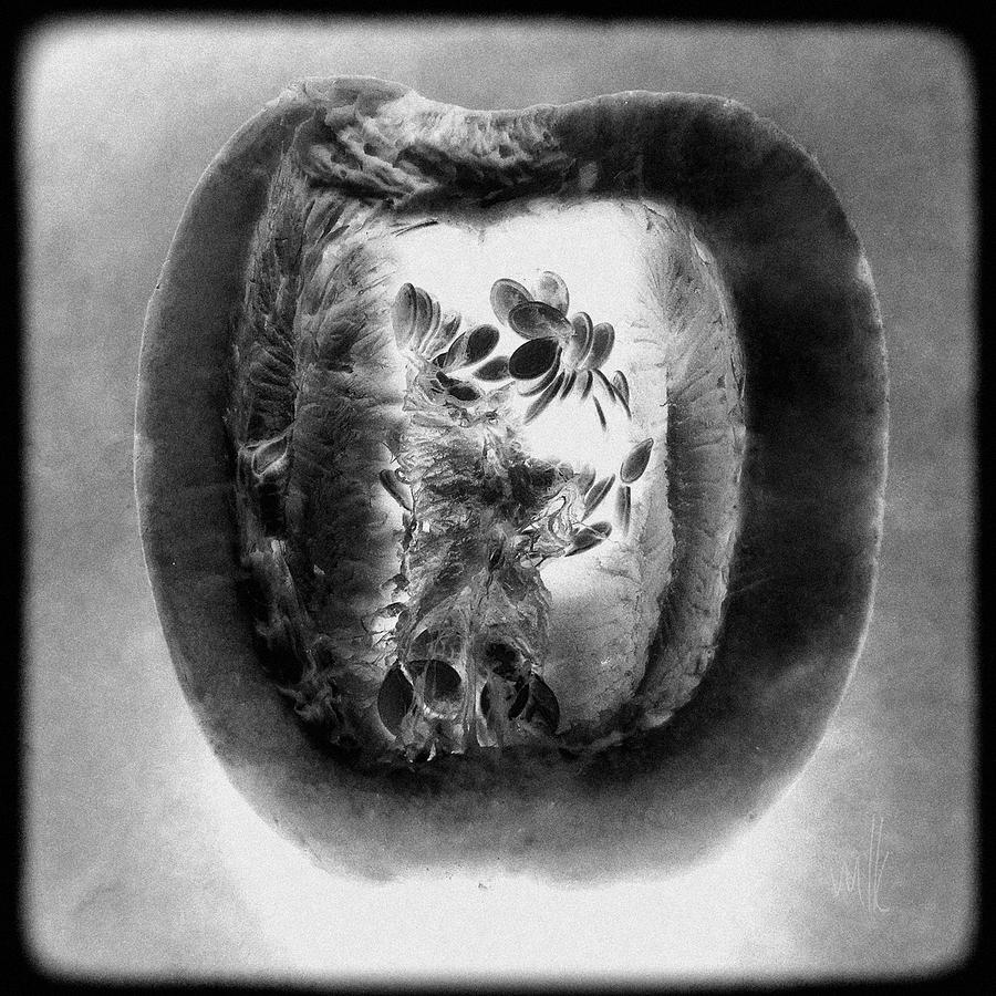 Heart of a Pumpkin Abstract No 2 Photograph by Louise Kumpf