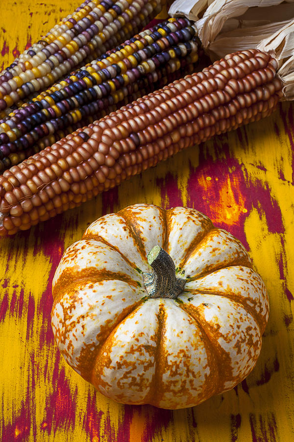 Fruit Photograph - Pumpkin and Indian corn by Garry Gay
