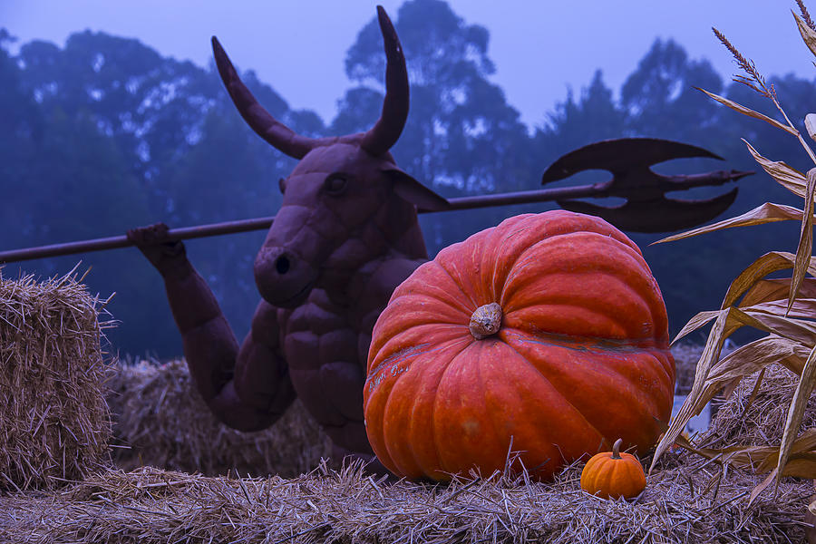 Pumpkin Photograph - Pumpkin and Minotaur by Garry Gay