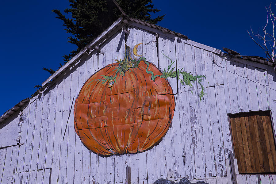 Pumpkin Barn Photograph by Garry Gay