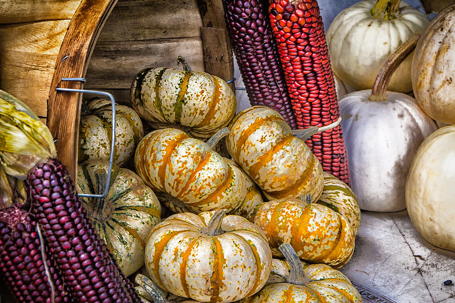 Pumpkin Basket Photograph by Ches Black