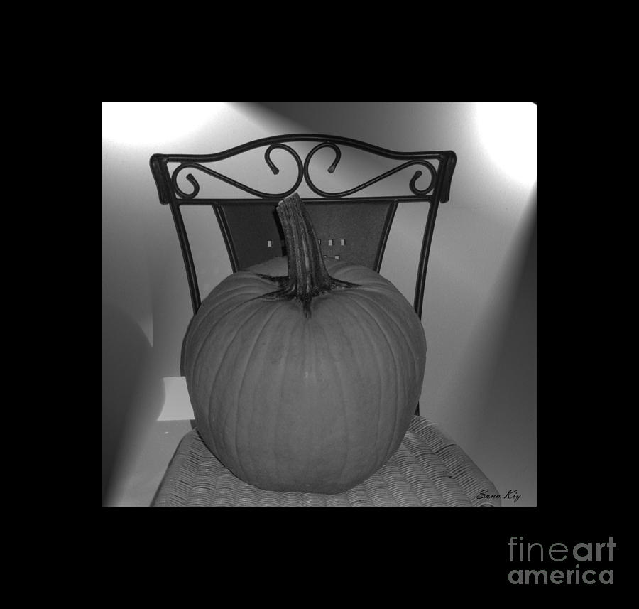 Pumpkin. Black and White Image Photograph by Oksana Semenchenko