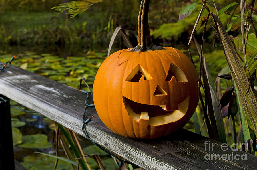 Pumpkin by the Pond Photograph by Maria Janicki
