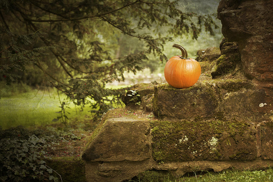 Pumpkin Photograph - Pumpkin by Amanda Elwell