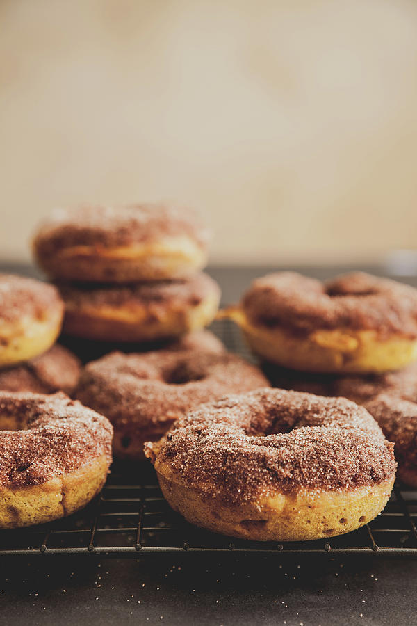 Pumpkin Donuts With Cinnamon Sugar Photograph by Beth D. Yeaw