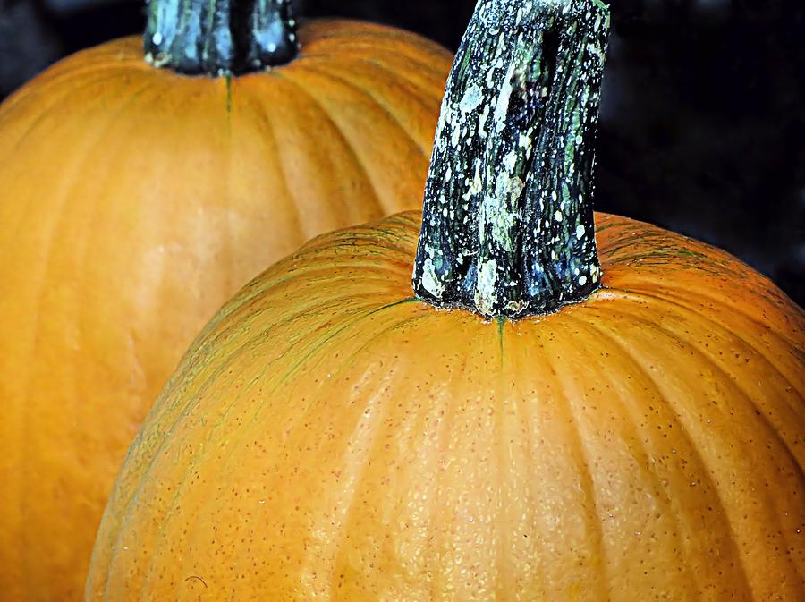 Pumpkin Duo Photograph by Janice Drew
