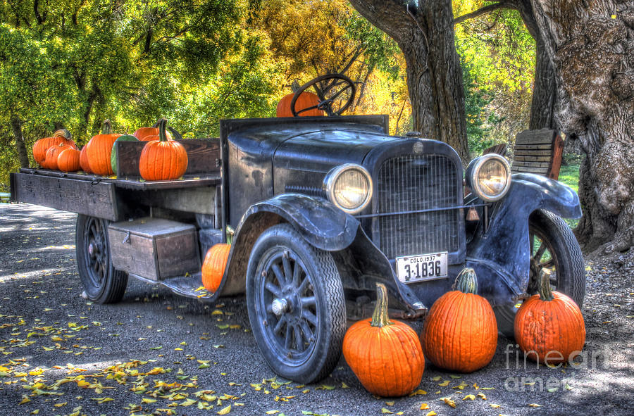 Pumpkin Photograph - Pumpkin Hoopie by Bob Hislop
