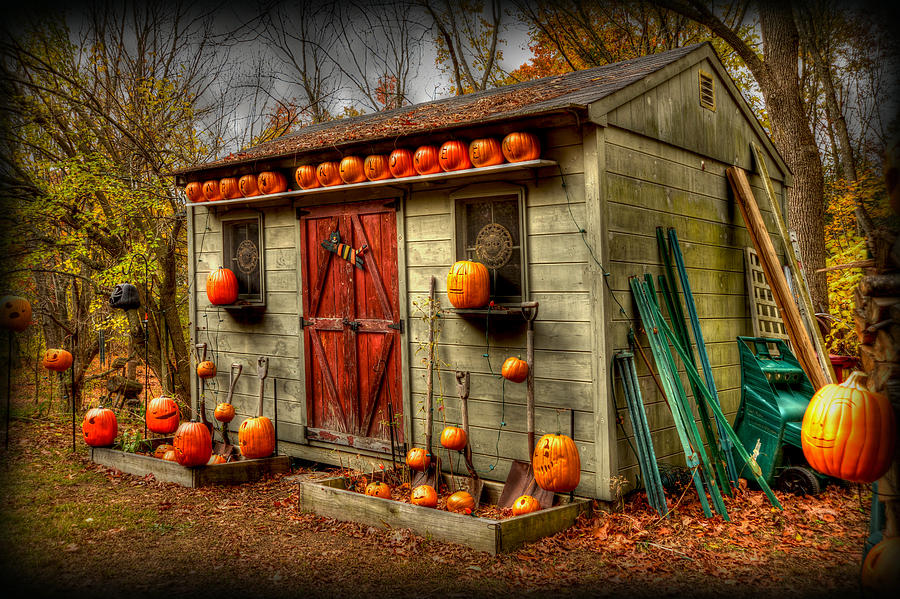Pumpkin House Photograph by Craig Incardone