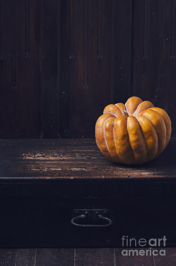 Pumpkin Photograph by Jelena Jovanovic