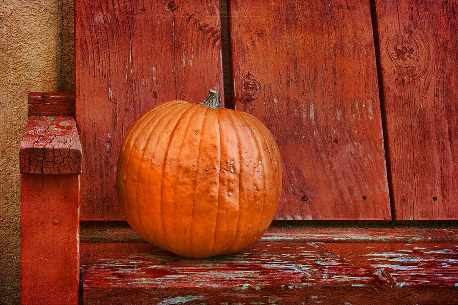 Pumpkin on Bench #2 - Southwestern Still Life Photograph by Nikolyn McDonald