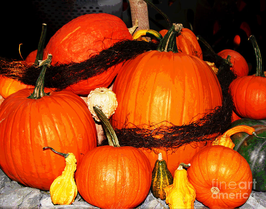 Pumpkin Patch Photograph by Larry Oskin
