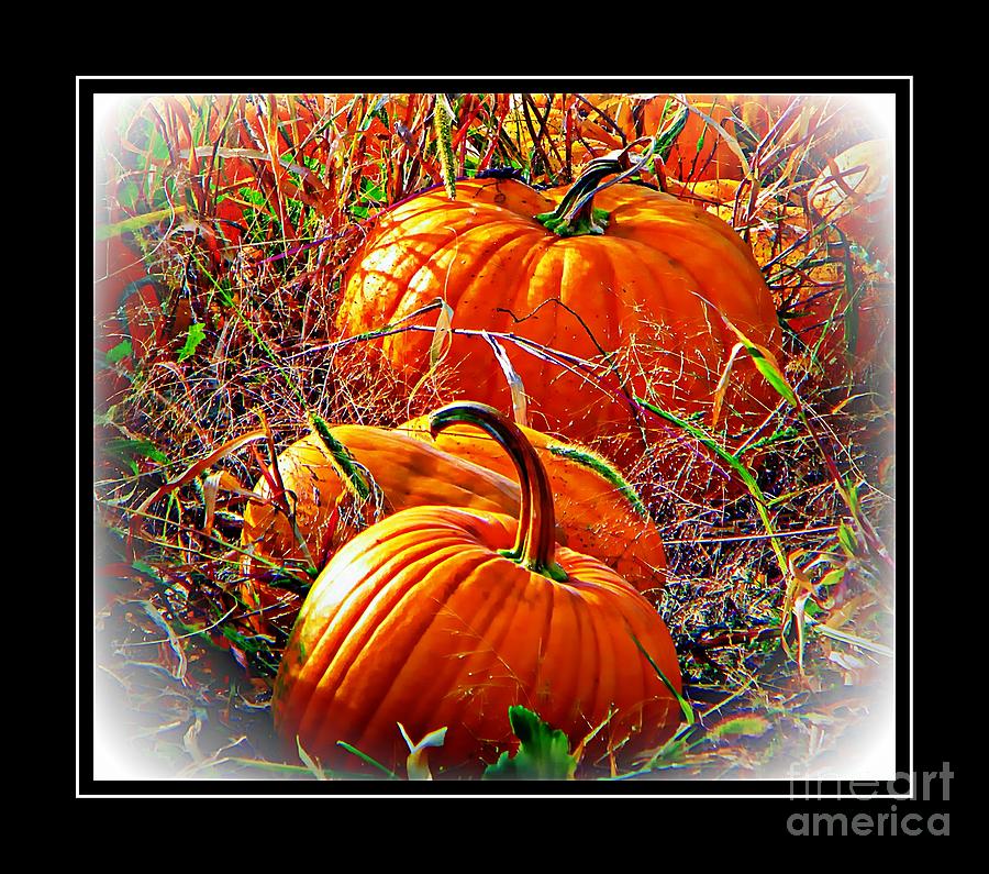 Fall Photograph - Pumpkin Patch with border by Michelle Frizzell-Thompson