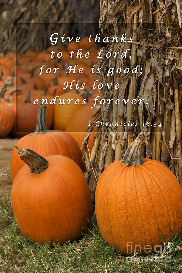 Pumpkin Patch with Scripture Photograph by Jill Lang