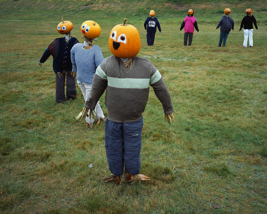 Pumpkin People #2 Photograph by Tom Daniel