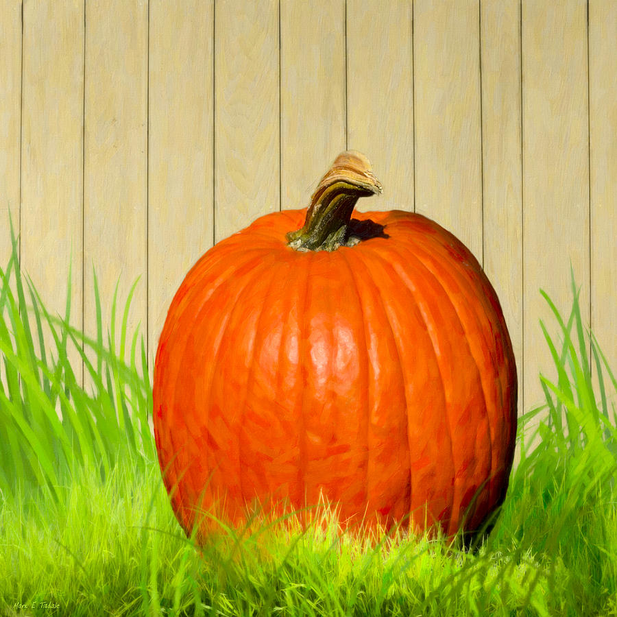 Pumpkin Season Digital Art by Mark Tisdale