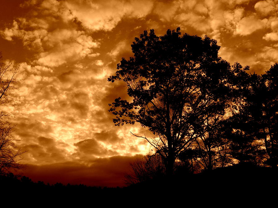 Pumpkin Sky Photograph by Mim White