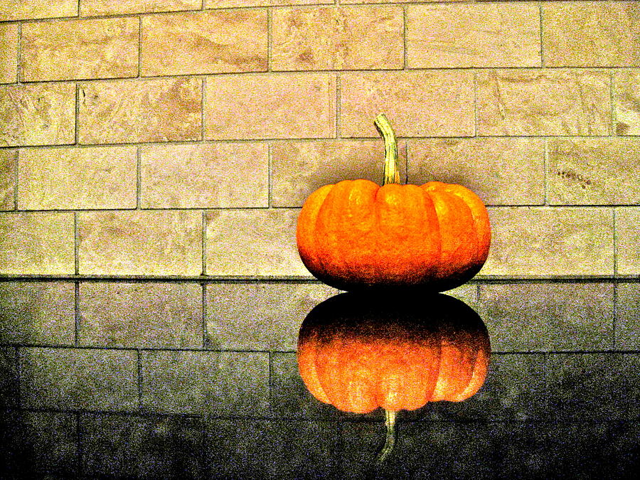 Pumpkin Photograph - Pumpkin Still Life by Brooke Friendly