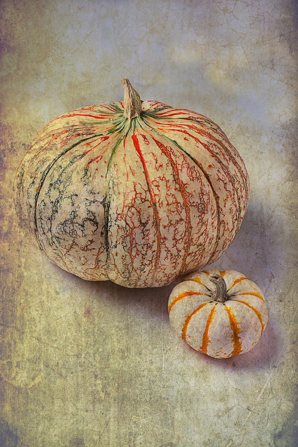 Fruit Photograph - Pumpkin Textures by Garry Gay
