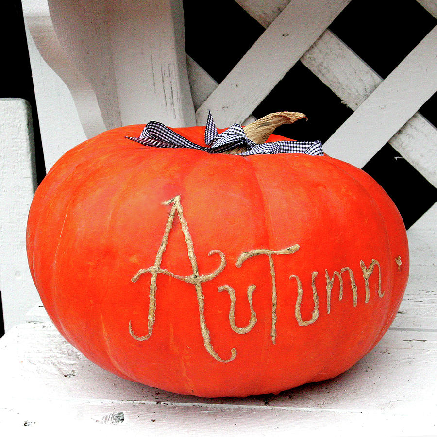 Pumpkin Time Photograph by Art Block Collections