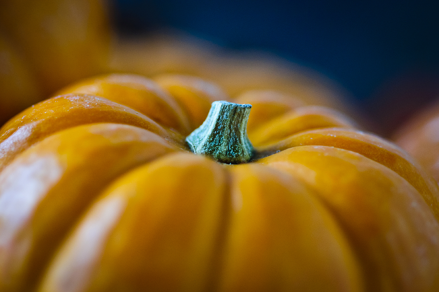 Pumpkin Time Photograph by Christi Kraft
