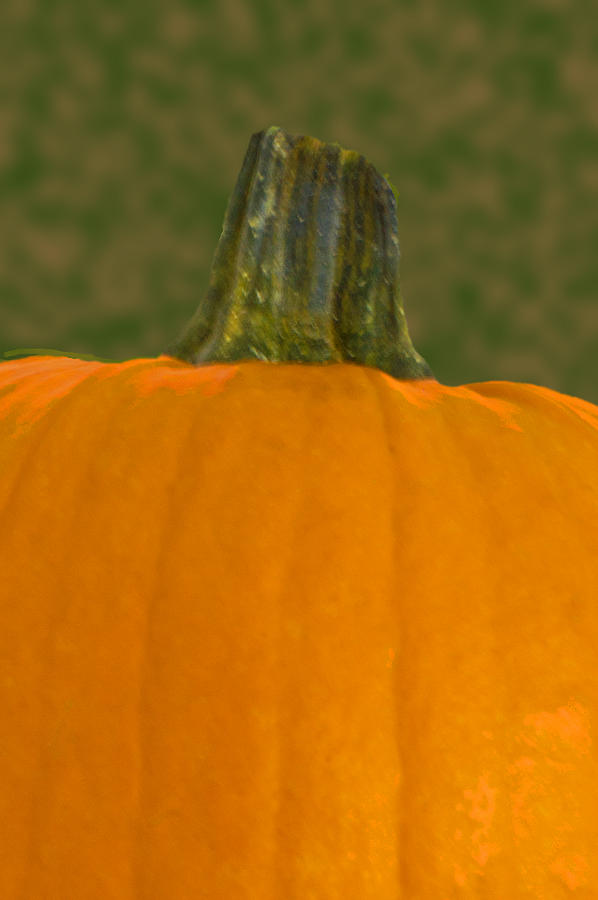 Pumpkin Up Close And Personal Photograph by Diane Bell