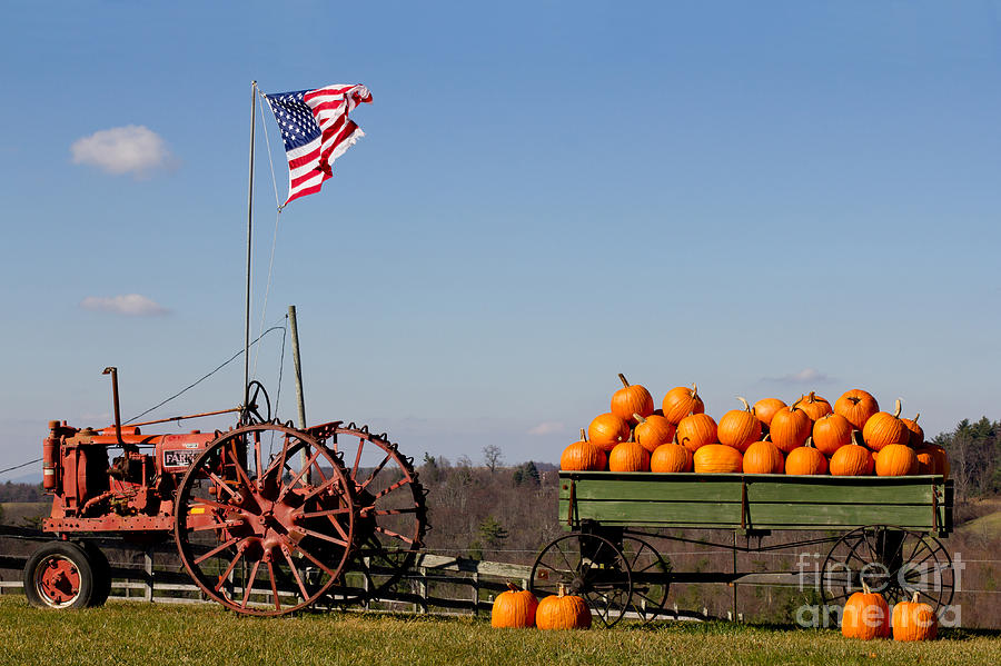 Pumpkin Wagon Photograph by Les Palenik