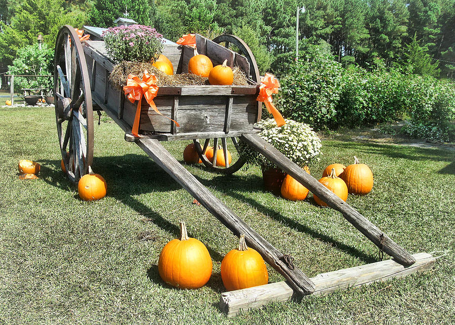 Pumpkin Wagon Photograph by Vic Montgomery