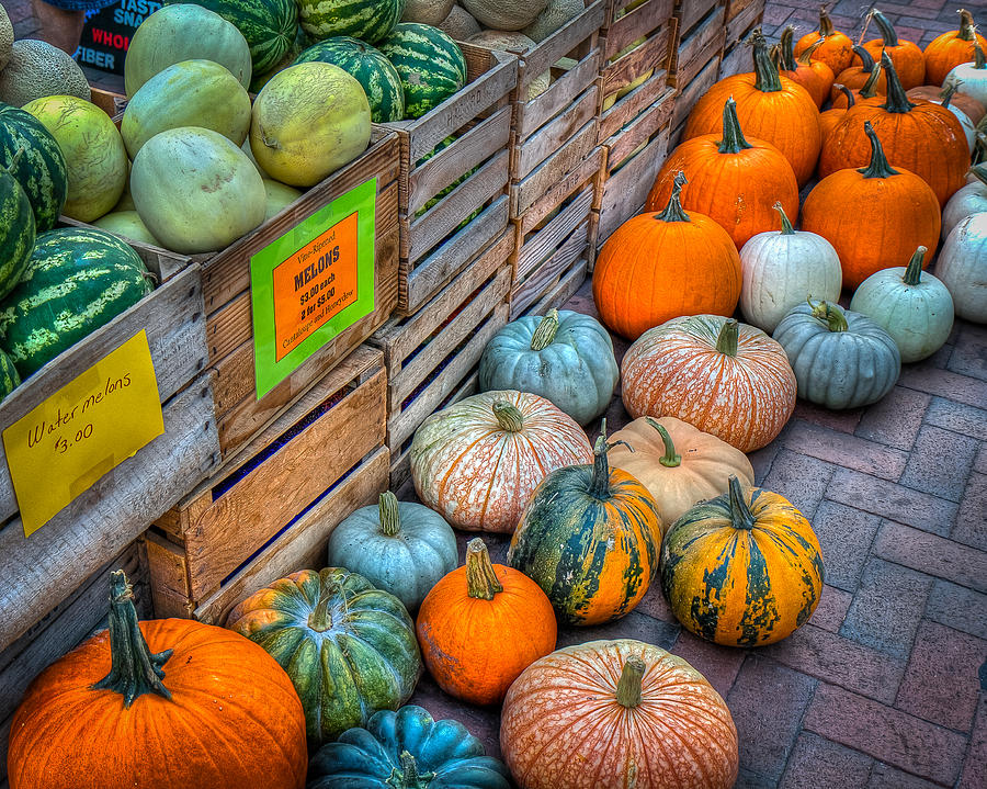 Pumpkins and Melons Photograph by Victor Marsh - Fine Art America