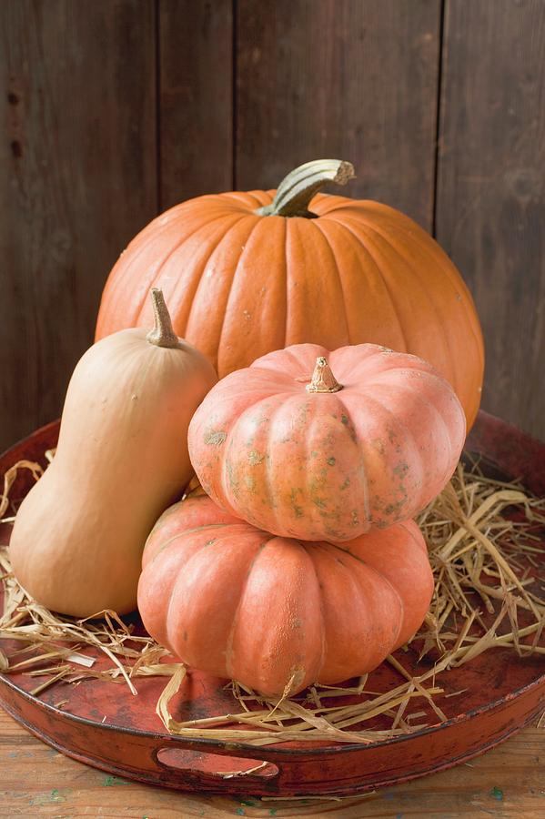 Fall Photograph - Pumpkins And Squashes On Old Tray In Front Of Wooden Wall by Foodcollection